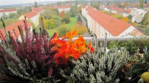 Im Vordergrund ein Blumenkasten, dahinter Häuser und Rasenflächen