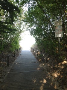 Ein Durchgang durch die Dünen