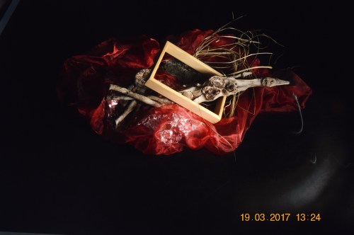 Wurzeln vor schwarzem Hintergrund