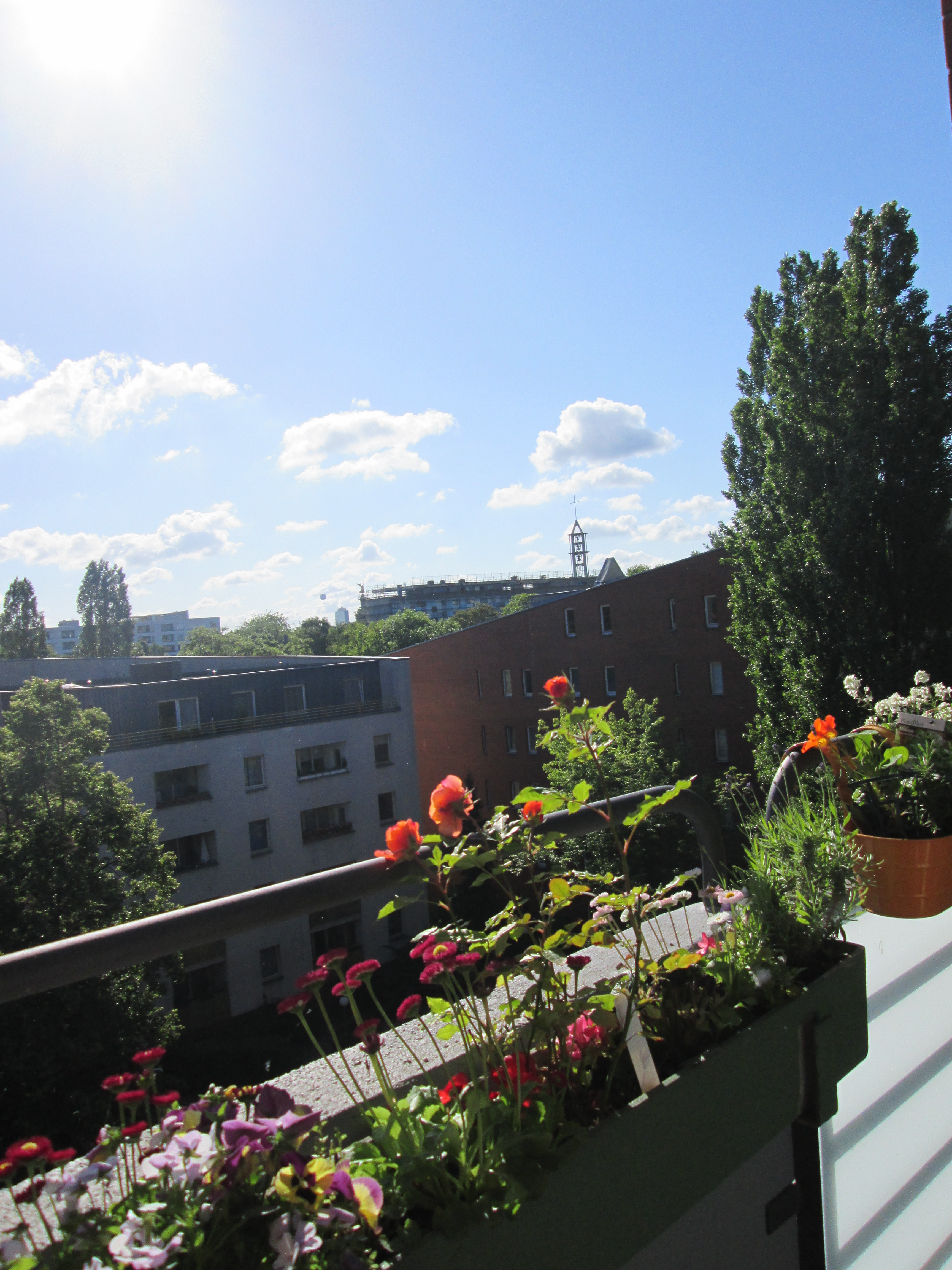 begrünte Balkonbrüstung, gegenüber ein Häuserblock und hellblauer Himmel