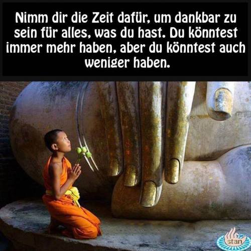 betender kleiner buddhistischer mönch